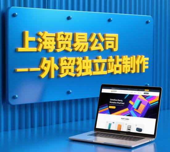 上海外贸独立站制作