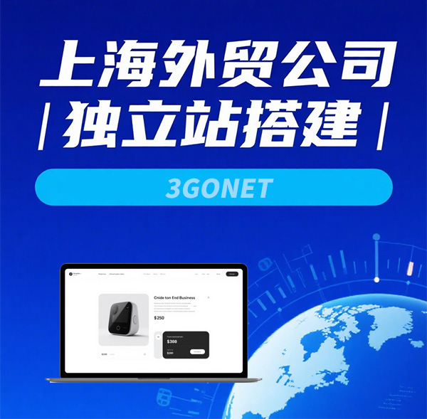 上海外贸独立站制作