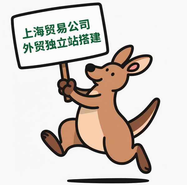 上海外贸建站公司